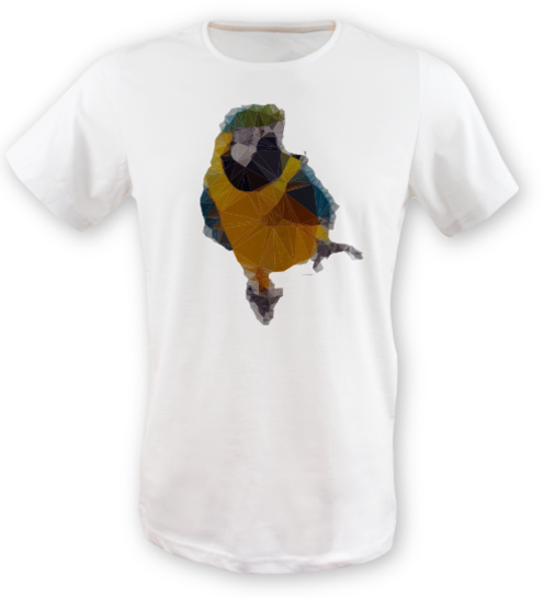 Low-poly-papagan-tisort erkek-tshirt on3